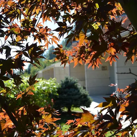 Apartamento Casinhas Do *