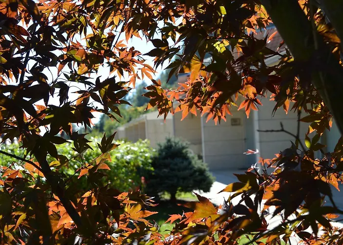 Apartment Casinhas Do *